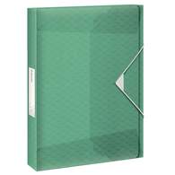 Папка-бокс Esselte Colour′Breez/Color Ice, 40 мм, зеленый