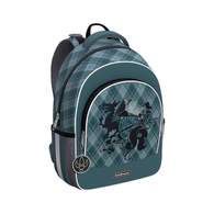 Ученический рюкзак ErichKrause ErgoLine 15L Dragon Emblem