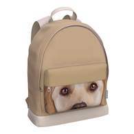 Рюкзак ErichKrause StreetLine с отделением для ноутбука 17L Beige Dog