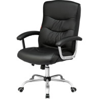 Кресло для руководителя EChair-550 TR черное (рециклированная кожа с компаньоном/металл) 