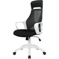 Кресло BN_Hg_EChair-578 TC сетка/ткань черный, пластик белый 