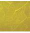 Ежедневник датированный 2021 А5 (138х213 мм) BRAUBERG "Foliage", кожзам, желтый