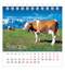 Календарь-домик настольный на гребне, 2021 год, 101х101 мм, "Год быка", HATBER