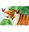 Календарь трехсекционный с полноцветными подложками на 2023 год,  "Тигр с бабочкой"