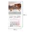 Календарь настенный перекидной 2023 г., 12 листов, 29х29 см, "DOGS", STAFF