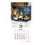 Календарь настенный перекидной на 2024 г., BRAUBERG, 12 листов, 29х29 см, "Кошечки"