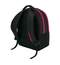 Ученический рюкзак ErichKrause EasyLine с двумя отделениями 20L Black&Pink