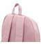 Рюкзак ErichKrause EasyLine Style с двумя отделениями 22L Pink
