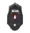 Мышь проводная игровая SONNEN GM-77, USB, 2400 dpi, 6 кнопок, оптическая, LED-подсветка, черная